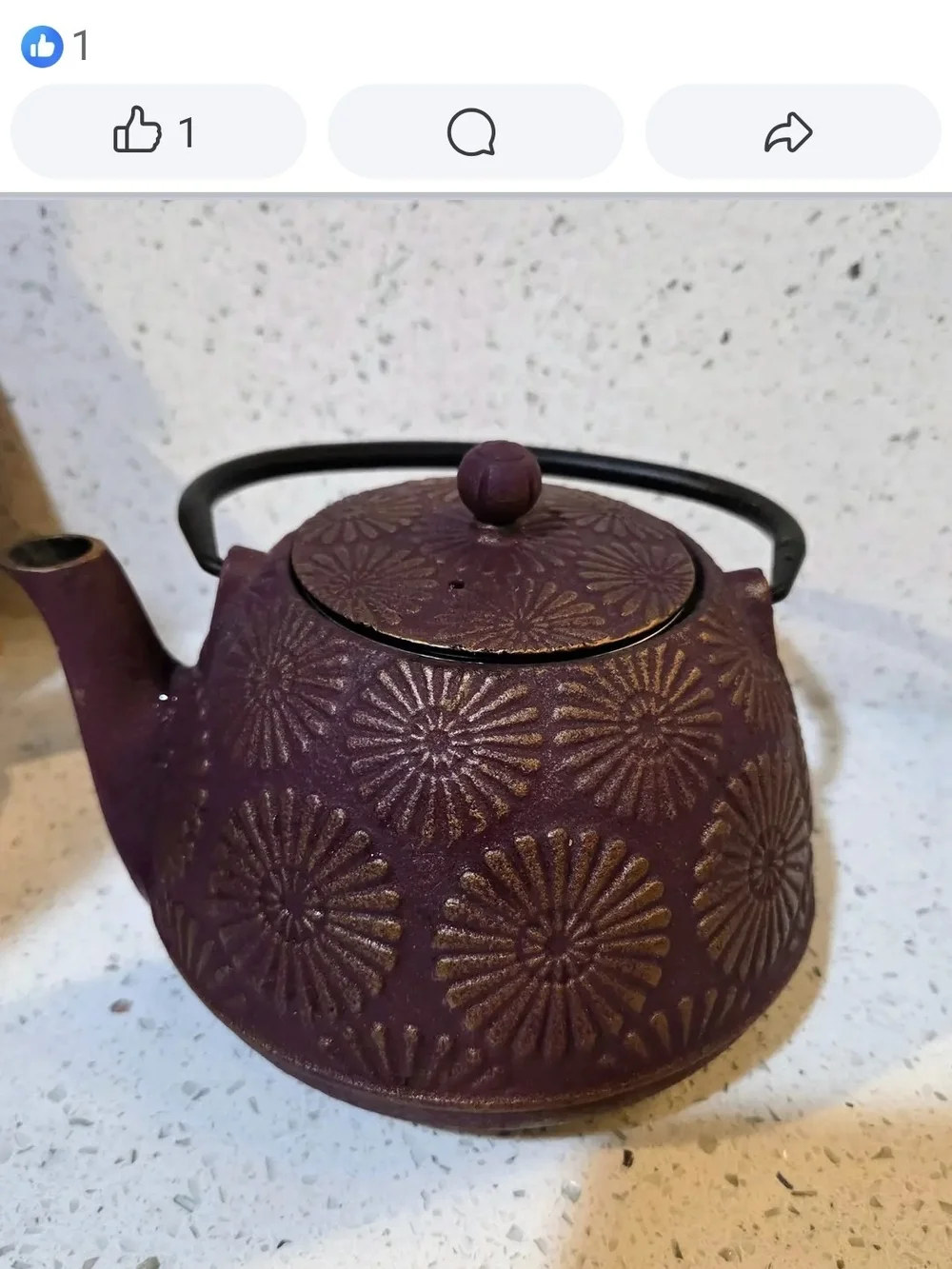 Cast Iron Teapot with Infuser - Purple